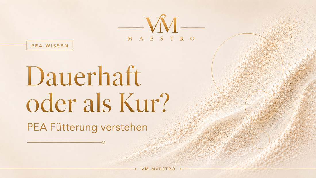 PEA beim Pferd – dauerhaft füttern oder als Kur?