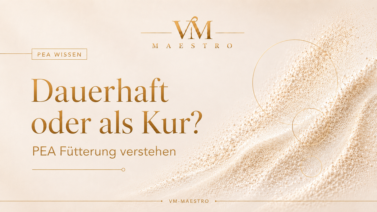 PEA beim Pferd – dauerhaft füttern oder als Kur?