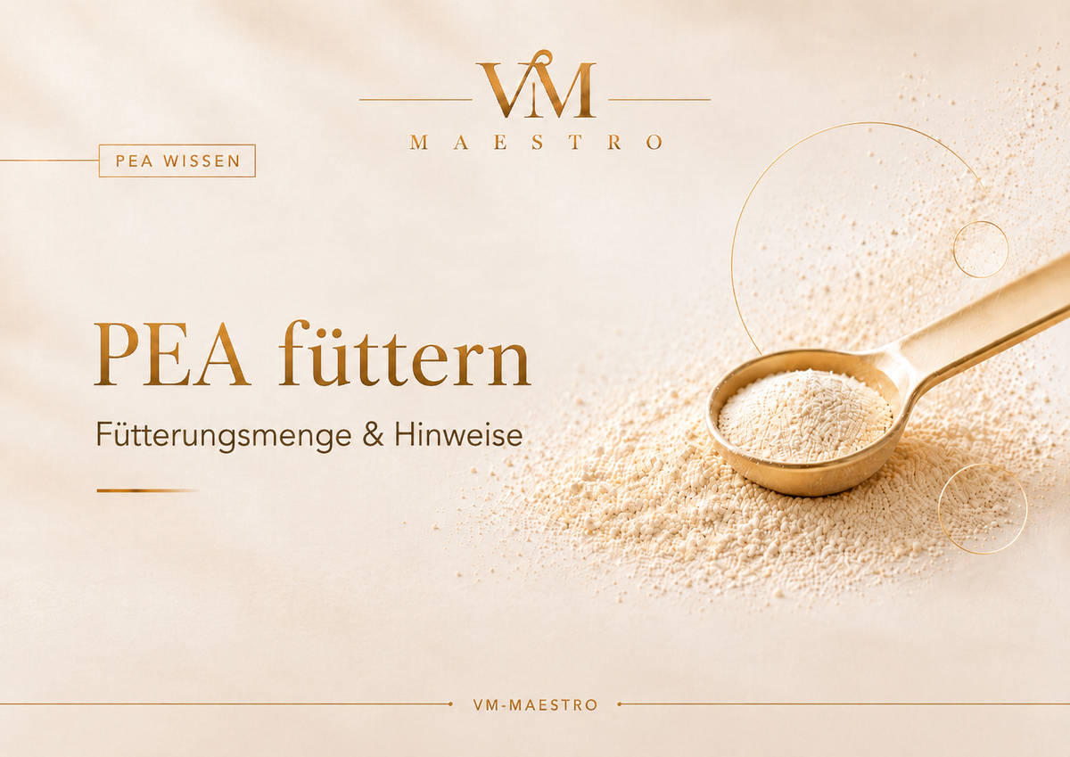 PEA beim Pferd füttern – Fütterungsmenge, Turnier & wichtige Hinweise
