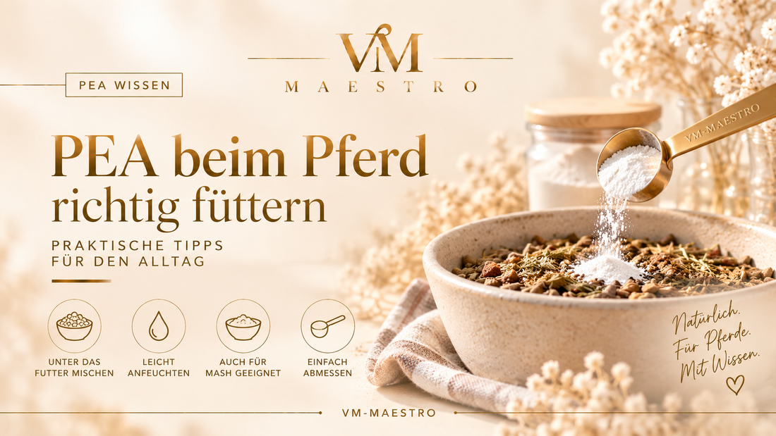 PEA beim Pferd richtig füttern – praktische Tipps für den Alltag