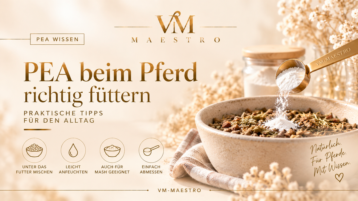 PEA beim Pferd richtig füttern – praktische Tipps für den Alltag