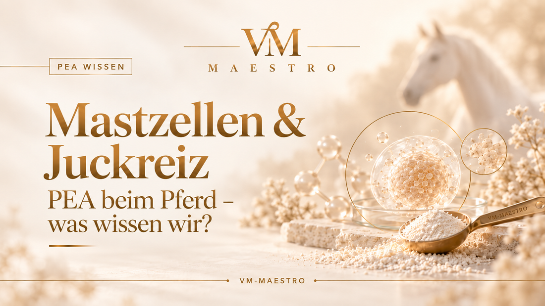 PEA, Mastzellen und Juckreiz beim Pferd – was wissen wir?