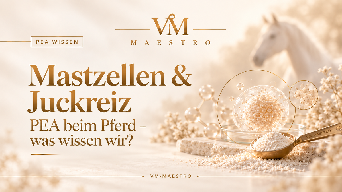 PEA, Mastzellen und Juckreiz beim Pferd – was wissen wir?