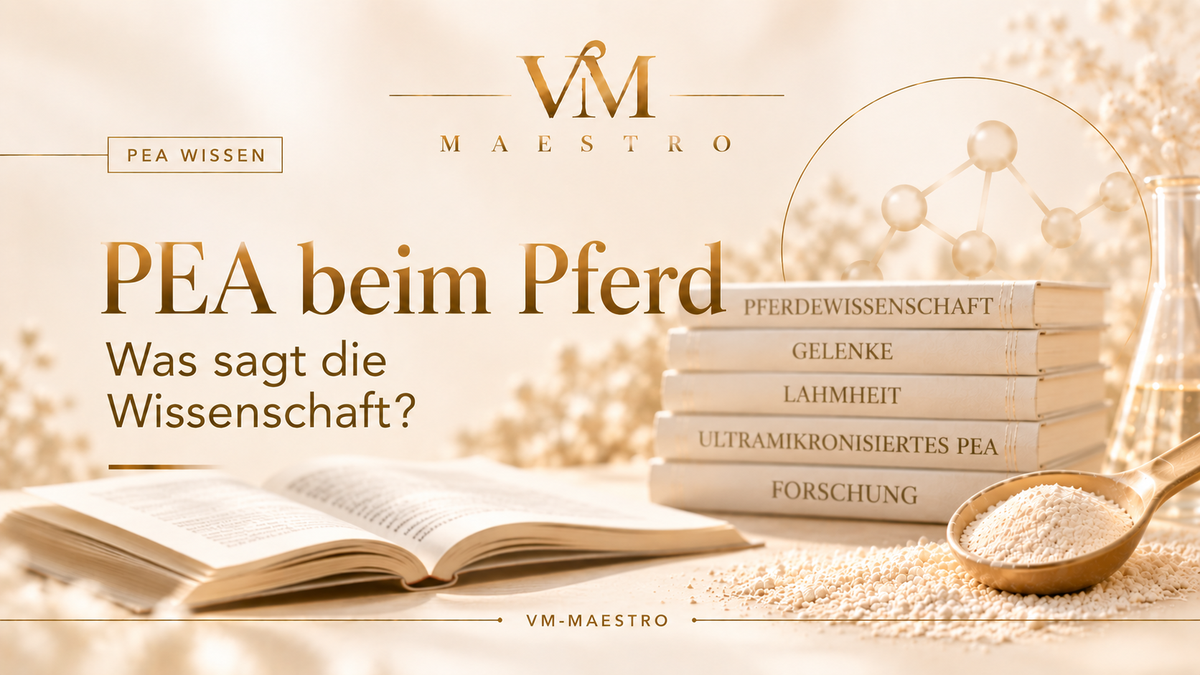 PEA beim Pferd – was sagt die Wissenschaft wirklich?